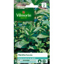 Peppermint Seeds Vilmorin - Intense Aroma, Easy to Grow