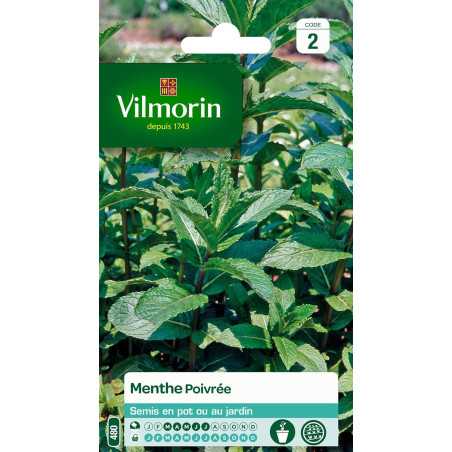 Peppermint Seeds Vilmorin - Sow March to June, Hardy to -15°C