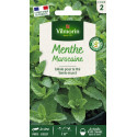 Bustina di semi Menta Marocchina