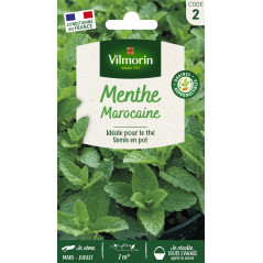 Moroccan Mint Seeds Vilmorin - Authentic Mint Tea | Multitanks
