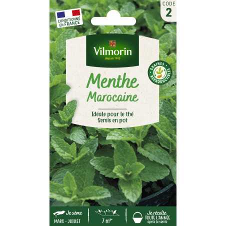 Moroccan Mint Seeds Vilmorin - Authentic Mint Tea | Multitanks