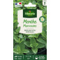 Sobre de semillas Menta Marroquí Sobre de semillas Menta Marroquí