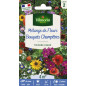 Seme Borsa Fiori Bouquets Champàtres Seme Borsa Fiori Bouquets Champàtres