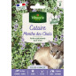Catnout Seed Bag Catmint en formato económico