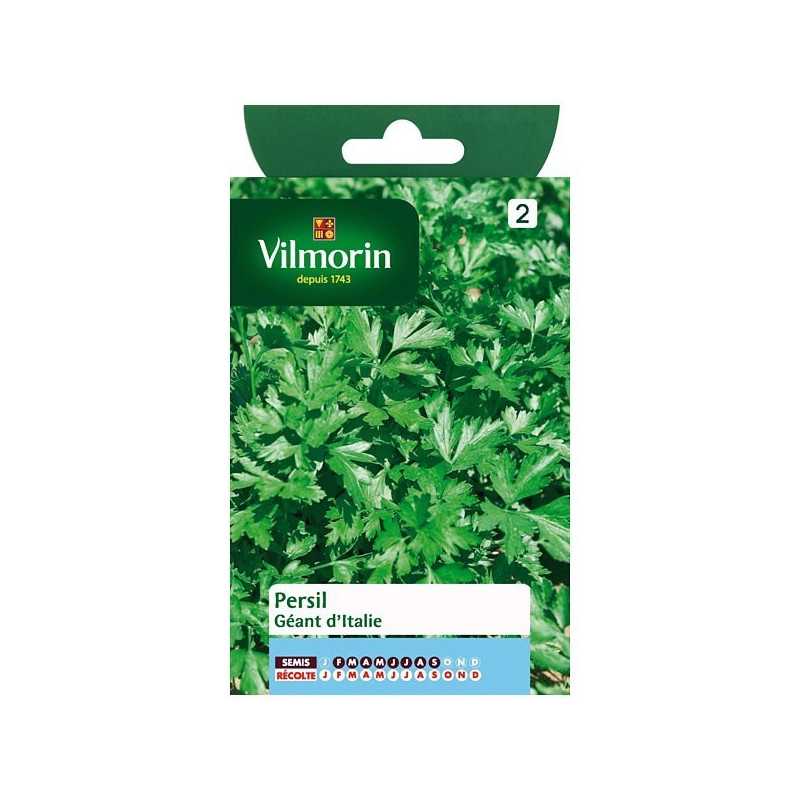 Semillas Perejil gigante de Italia Vilmorin - Hoja plana, aroma intenso