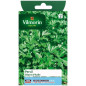 Giant Parsley Seeds Bag from Italy