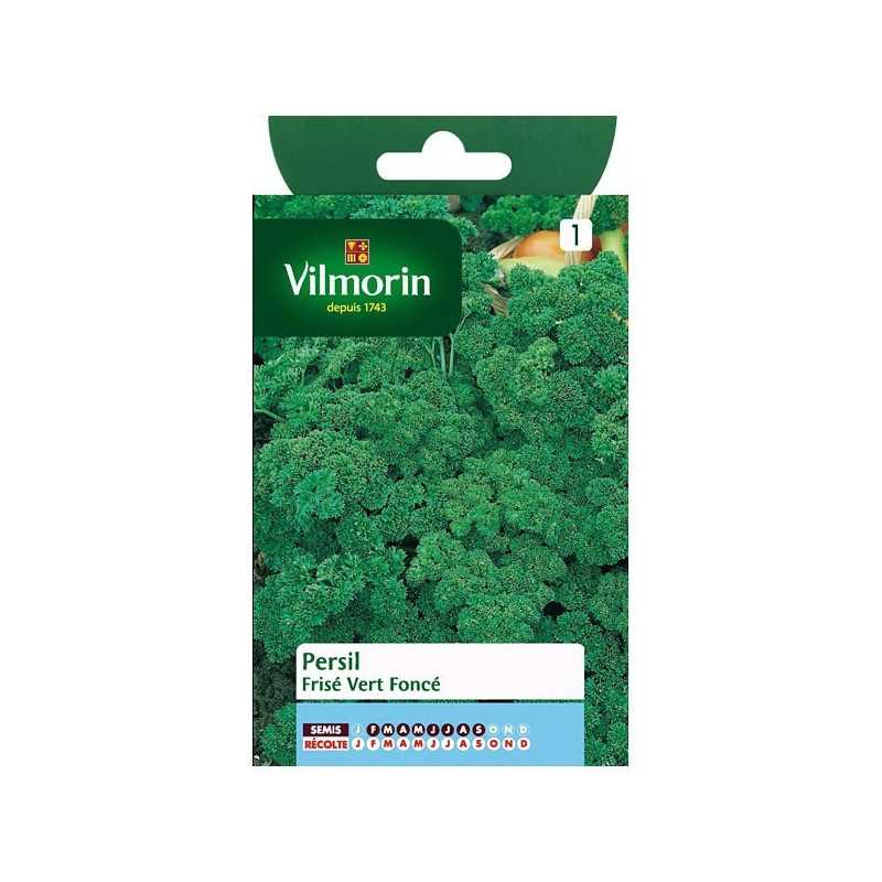 Semi Prezzemolo riccio verde scuro Vilmorin - Fogliame denso Semi Prezzemolo riccio verde scuro Vilmorin - Fogliame denso