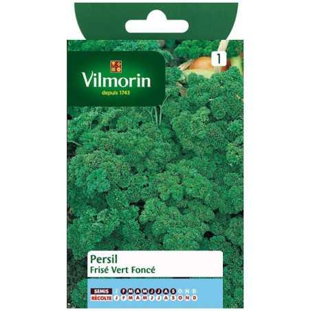 Product sheet Dark green curly parsley
