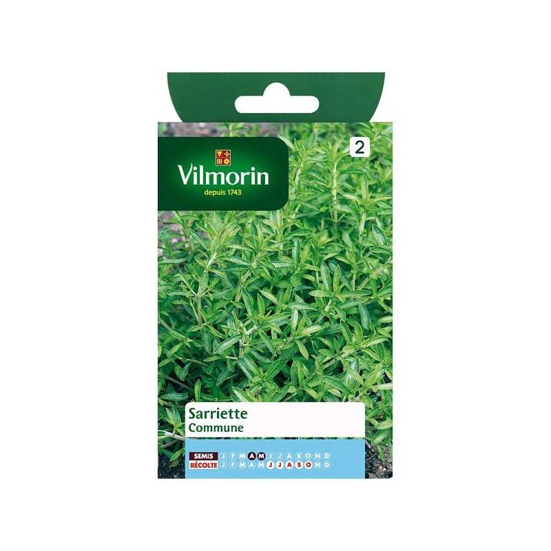 Summer Savory Seeds Vilmorin - Peppery Aromatic Herb, Easy to Grow Summer Savory Seeds Vilmorin - Peppery Aromatic Herb, Easy to Grow