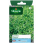 Borsa Comune Sarriette Seed Borsa Comune Sarriette Seed