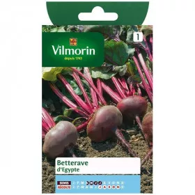 Product sheet Beetroot from Egypt