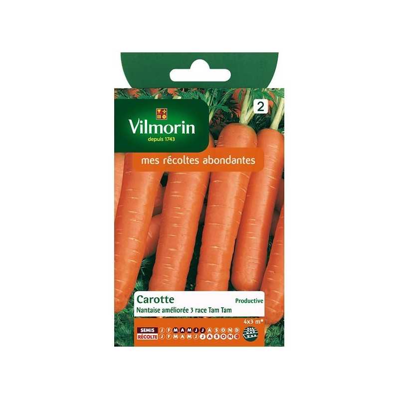 Nantes Improved Carrot Seeds Tam Tam Vilmorin - Long Cylindrical Roots Nantes Improved Carrot Seeds Tam Tam Vilmorin - Long Cylindrical Roots