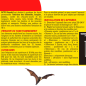 Repellente ACTO ad ultrasuoni per pipistrelli, ratti e topi - Protezione 325m² Repellente ACTO ad ultrasuoni per pipistrelli, ratti e topi - Protezione 325m²
