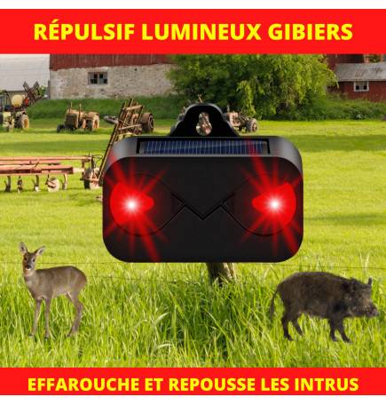 Effaroucheur lumineux en situation, protégeant un potager la nuit.
