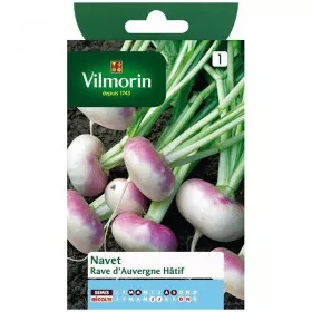 Product sheet Turnip rave d'auvergne early
