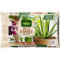 Terriccio Or Brun Piante Verdi 20L + Ciottoli di Argilla: Rinvaso facile e sostenibile Terriccio Or Brun Piante Verdi 20L + Ciottoli di Argilla: Rinvaso facile e sostenibile