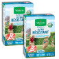 2x1kg Lotto di Tappeto Erboso Ultra Resistente Etichetta Rossa Vilmorin 2x1kg Lotto di Tappeto Erboso Ultra Resistente Etichetta Rossa Vilmorin
