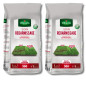 Pacchetto di risemina del tappeto erboso Vilmorin 2x5kg - Prato denso e resistente 600m²