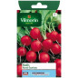 Scarlet Round Radish Seeds Vilmorin - Early Open-Ground Variety Scarlet Round Radish Seeds Vilmorin - Early Open-Ground Variety