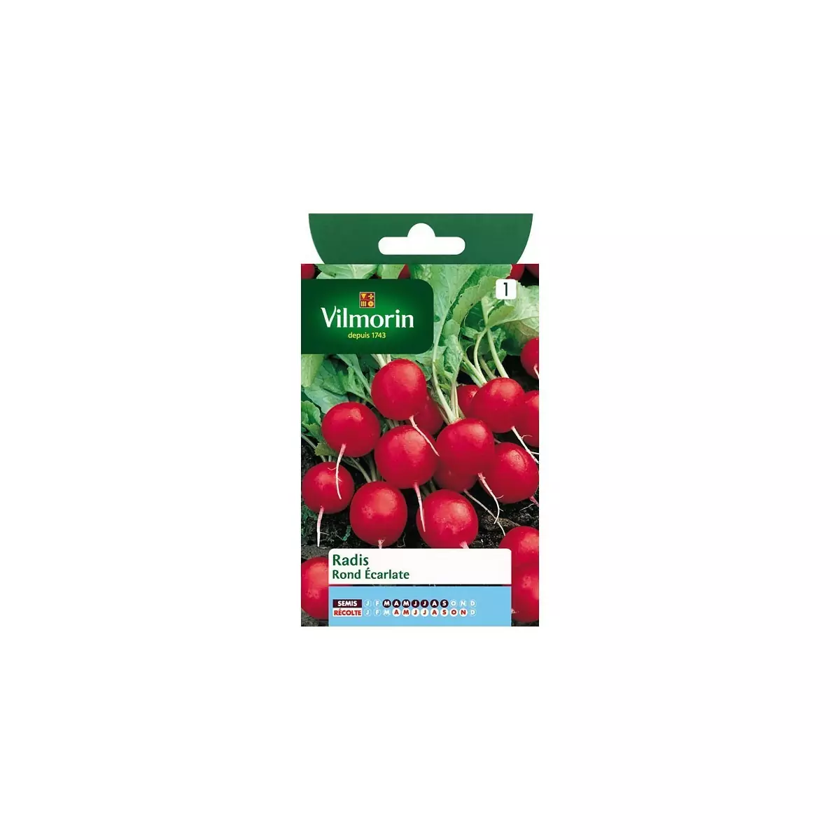 Product sheet Round scarlet radishes