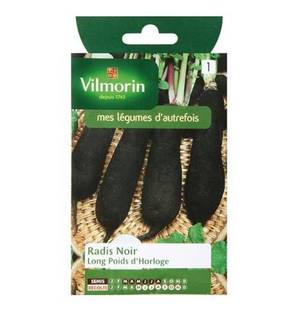 Product sheet Black Radish Long Clock Weight
