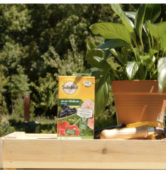 Fongicide Solabiol DAR 1 jour traitement maladies plantes