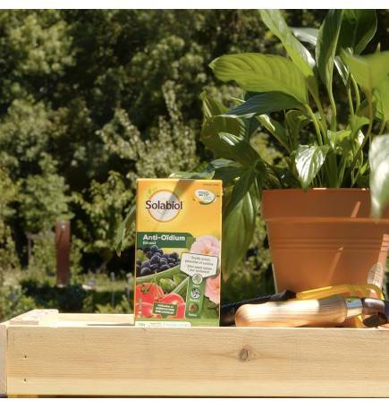 Fongicide Solabiol DAR 1 jour traitement maladies plantes