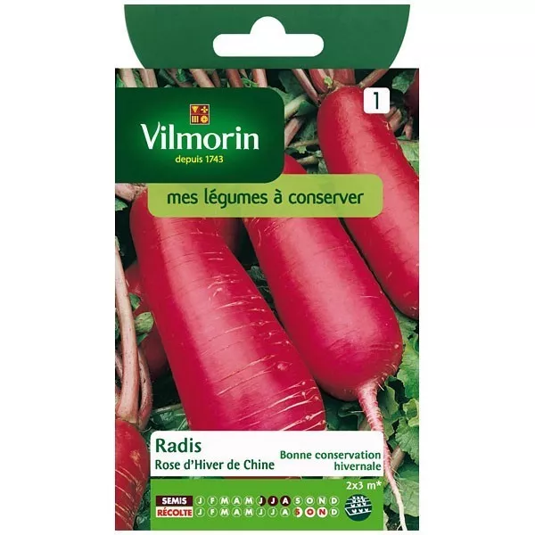 Product sheet Pink winter radish from China