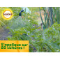 Porridge Bordolese Solabiol Incolore 400 g Porridge Bordolese Solabiol Incolore 400 g
