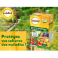 Porridge Bordolese Solabiol Incolore 400 g Porridge Bordolese Solabiol Incolore 400 g
