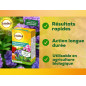 SOLABIOL Sequestrene Anticlorosi - 100 g - Risultati rapidamente visibili - Azione di lunga durata - SOSEQ01 SOLABIOL Sequestrene Anticlorosi - 100 g - Risultati rapidamente visibili - Azione di lunga durata - SOSEQ01