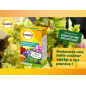 SOLABIOL Sequestrene Anticlorosi - 100 g - Risultati rapidamente visibili - Azione di lunga durata - SOSEQ01 SOLABIOL Sequestrene Anticlorosi - 100 g - Risultati rapidamente visibili - Azione di lunga durata - SOSEQ01