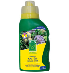 ECA300 Special Cacti...