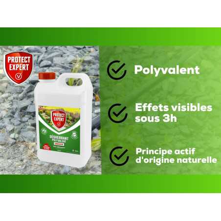 Protect Expert Proherbio25N - Herbicida multiusos de 2,5 L para un jardín limpio