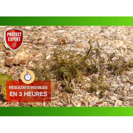 Protect Expert Proherbio25N - Herbicida multiusos de 2,5 L para un jardín limpio