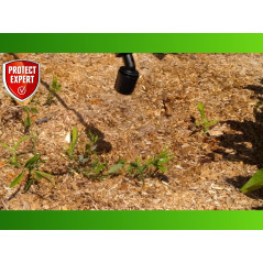 Protect Expert Proherbio25N - Herbicida multiusos de 2,5 L para un jardín limpio