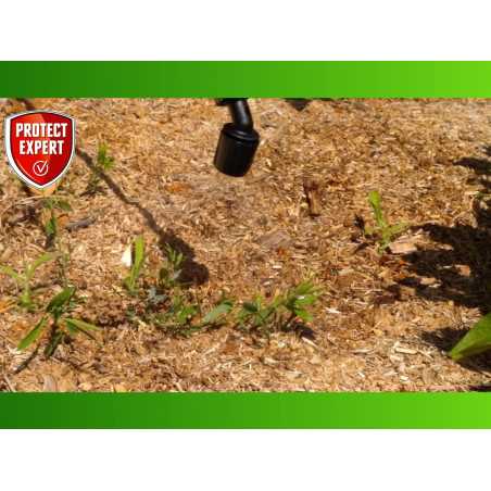 Protect Expert Proherbio25N - Herbicida multiusos de 2,5 L para un jardín limpio