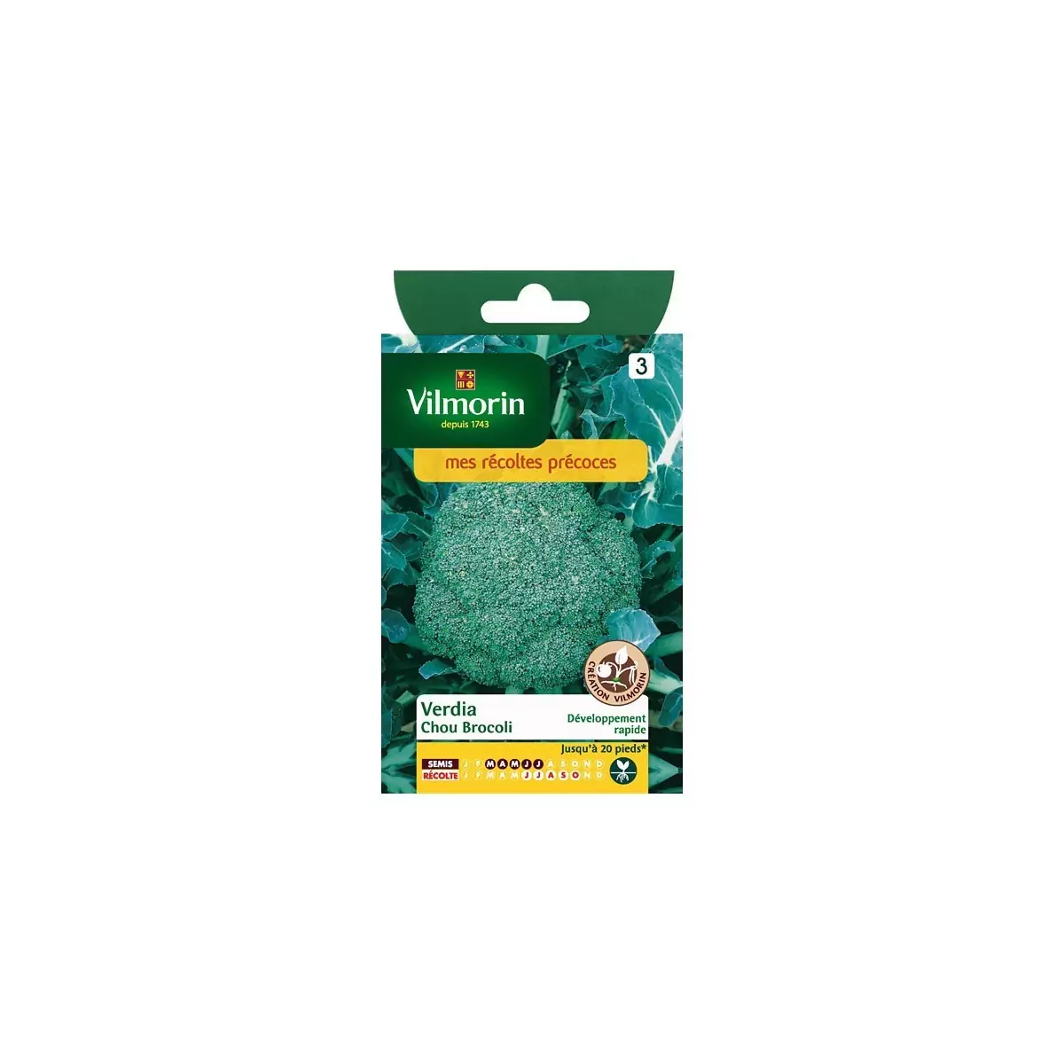 Product sheet Chou Broccoli Verdia