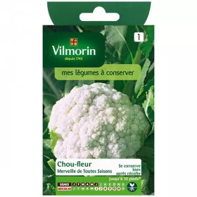 Product sheet Cauliflower Wonder of all seasons
