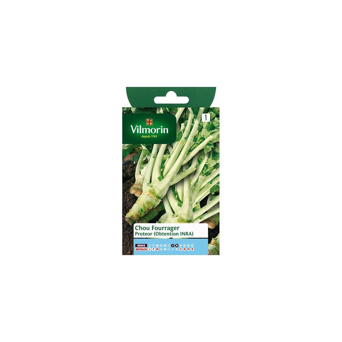 Fiche produit Chou Fourrager Proteor (obtention INRA)