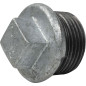 Male Cap with Galvanized Malleable Cast Iron Stop