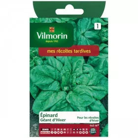 Product sheet Winter Giant Spinach