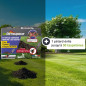 Kit speciale per arvicoli per i Devamers: La soluzione contro la piaga dei giardini Kit speciale per arvicoli per i Devamers: La soluzione contro la piaga dei giardini