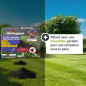 Kit speciale per arvicoli per i Devamers: La soluzione contro la piaga dei giardini Kit speciale per arvicoli per i Devamers: La soluzione contro la piaga dei giardini