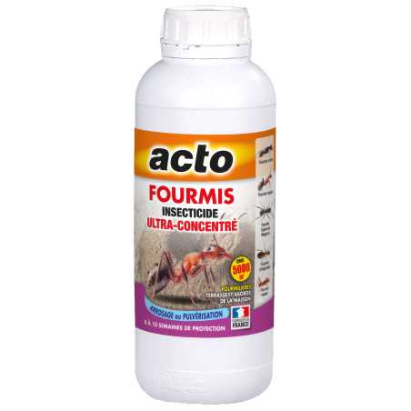 Potente Anti-Ant Acto : Tapinoma Magnum ed Eliminazione Argentina