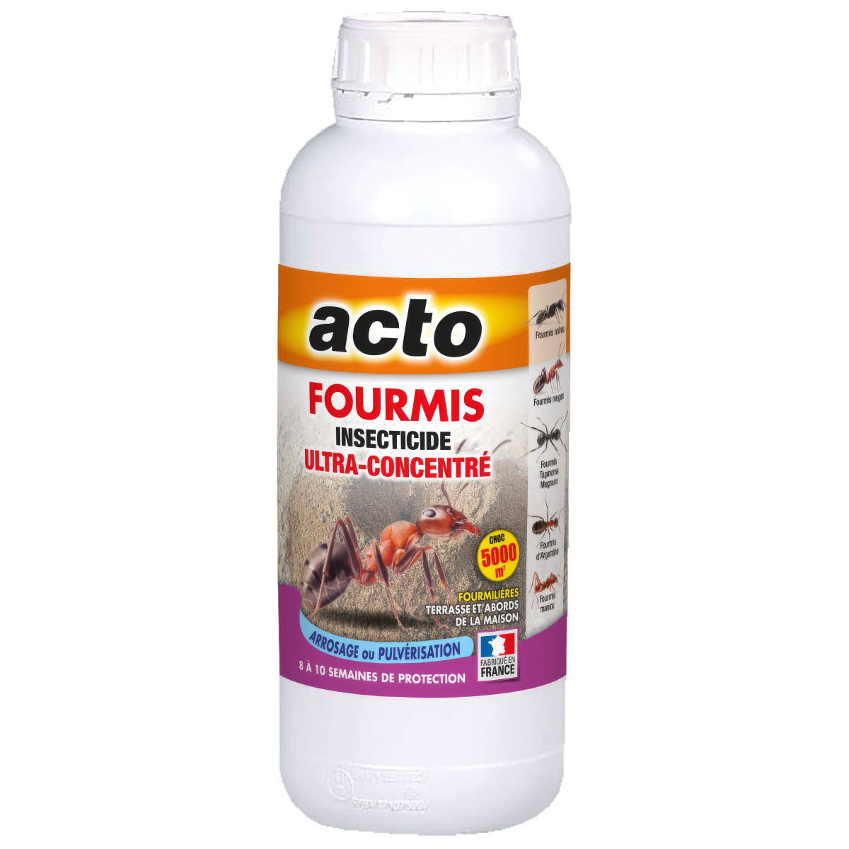 Anti-Fourmis Puissant Acto : Élimination Tapinoma Magnum et Argentine