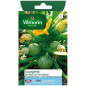 Semi di borsa Zucchine bello con frutta rotonda Semi di borsa Zucchine bello con frutta rotonda