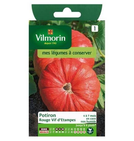 Courge Musquée Waltham Butternut
