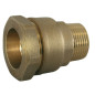 Brass Straight Brass Coupling 7000 Series PN16 | PE compression junction