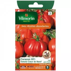 Fiche produit Tomate coeur de boeuf Corazon HF1
